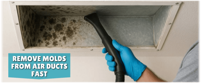 Air Duct Mold Removal in Alvin